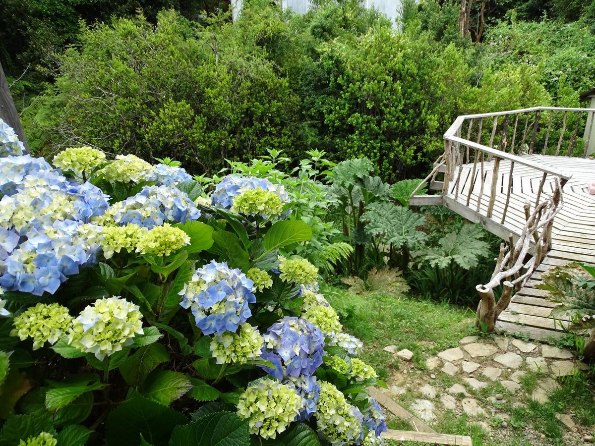 Hotel Cabanas Las Hortensias Niebla Exteriér fotografie